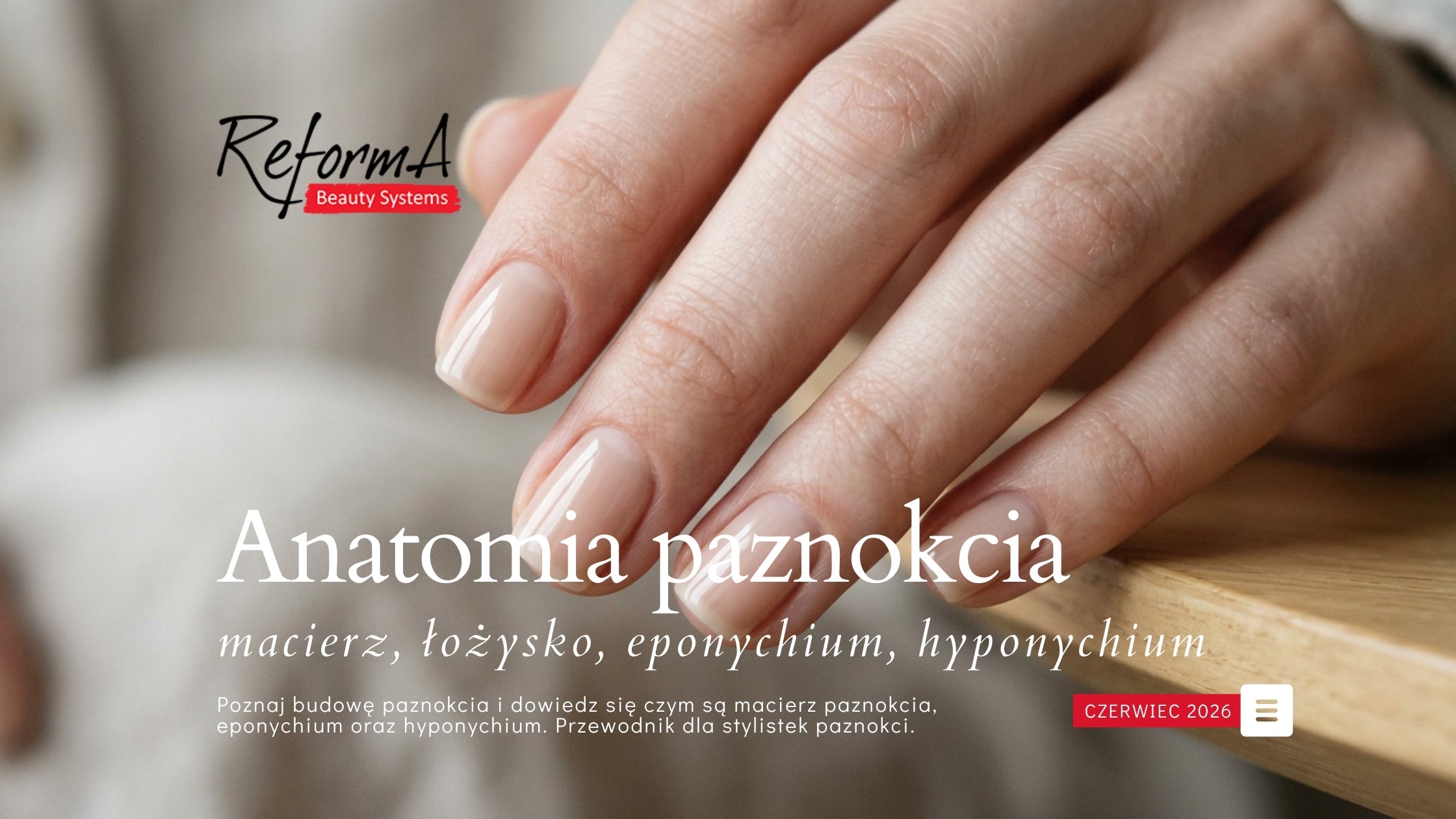 Anatomia paznokcia – macierz, łożysko, eponychium, hyponychium